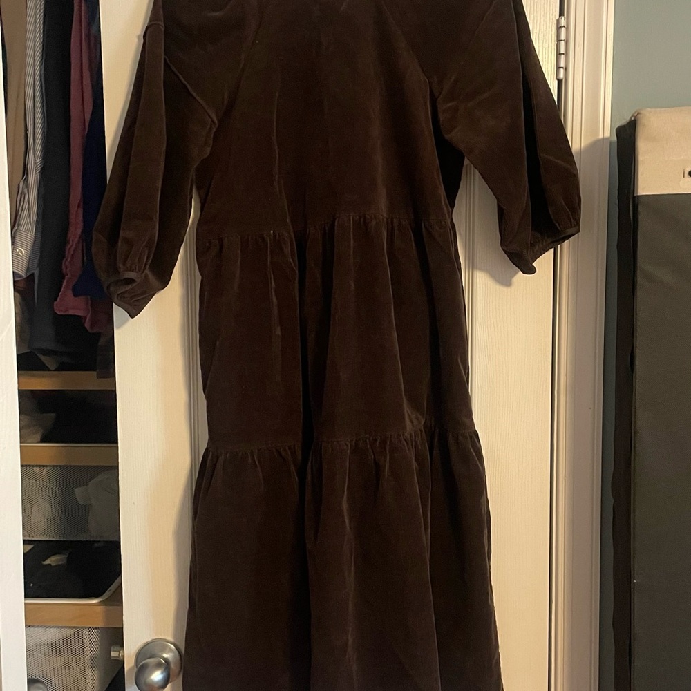 Everlane Chocolate Brown Corduroy Midi Dress
